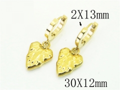 HY Wholesale Earrings 316L Stainless Steel Popular Jewelry Earrings-HY43E0570MA