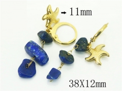 HY Wholesale Earrings 316L Stainless Steel Popular Jewelry Earrings-HY43E0516MR