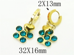 HY Wholesale Earrings 316L Stainless Steel Popular Jewelry Earrings-HY43E0584MG