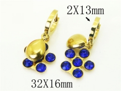 HY Wholesale Earrings 316L Stainless Steel Popular Jewelry Earrings-HY43E0619MR
