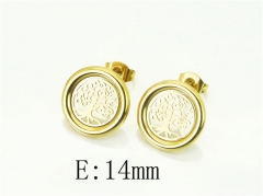 HY Wholesale Earrings 316L Stainless Steel Popular Jewelry Earrings-HY24E0121ND