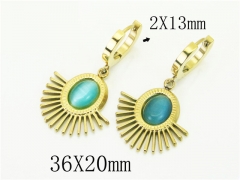 HY Wholesale Earrings 316L Stainless Steel Popular Jewelry Earrings-HY43E0534OC