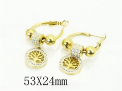 HY Wholesale Earrings 316L Stainless Steel Popular Jewelry Earrings-HY32E0458HJZ