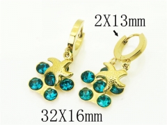 HY Wholesale Earrings 316L Stainless Steel Popular Jewelry Earrings-HY43E0599MQ