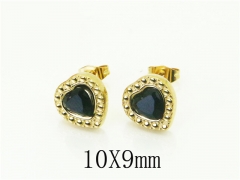 HY Wholesale Earrings 316L Stainless Steel Popular Jewelry Earrings-HY43E0644VKI