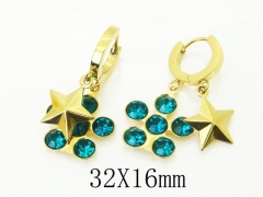HY Wholesale Earrings 316L Stainless Steel Popular Jewelry Earrings-HY43E0604MG