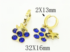 HY Wholesale Earrings 316L Stainless Steel Popular Jewelry Earrings-HY43E0600MA