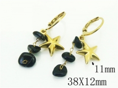 HY Wholesale Earrings 316L Stainless Steel Popular Jewelry Earrings-HY43E0508MF