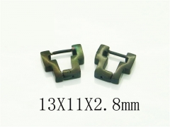 HY Wholesale Earrings 316L Stainless Steel Popular Jewelry Earrings-HY75E0152KD