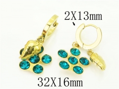 HY Wholesale Earrings 316L Stainless Steel Popular Jewelry Earrings-HY43E0589MW