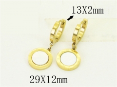 HY Wholesale Earrings 316L Stainless Steel Popular Jewelry Earrings-HY24E0113P5