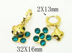 HY Wholesale Earrings 316L Stainless Steel Popular Jewelry Earrings-HY43E0609MZ