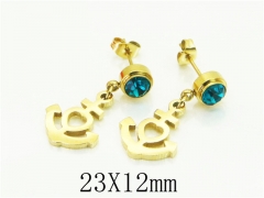 HY Wholesale Earrings 316L Stainless Steel Popular Jewelry Earrings-HY43E0673KD