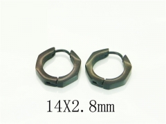 HY Wholesale Earrings 316L Stainless Steel Popular Jewelry Earrings-HY75E0170KV