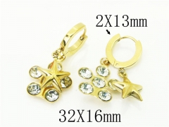 HY Wholesale Earrings 316L Stainless Steel Popular Jewelry Earrings-HY43E0591MR
