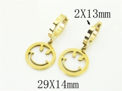 HY Wholesale Earrings 316L Stainless Steel Popular Jewelry Earrings-HY43E0563LS