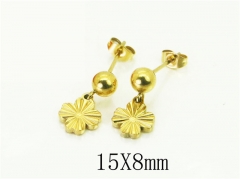 HY Wholesale Earrings 316L Stainless Steel Popular Jewelry Earrings-HY43E0651ZJL