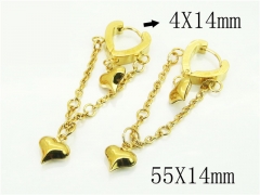 HY Wholesale Earrings 316L Stainless Steel Popular Jewelry Earrings-HY72E0077K5