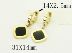 HY Wholesale Earrings 316L Stainless Steel Popular Jewelry Earrings-HY24E0116PO