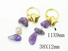 HY Wholesale Earrings 316L Stainless Steel Popular Jewelry Earrings-HY43E0514MT