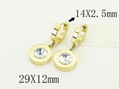 HY Wholesale Earrings 316L Stainless Steel Popular Jewelry Earrings-HY24E0115P8