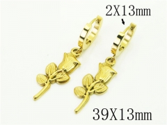 HY Wholesale Earrings 316L Stainless Steel Popular Jewelry Earrings-HY43E0569ME