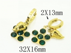 HY Wholesale Earrings 316L Stainless Steel Popular Jewelry Earrings-HY43E0588MQ