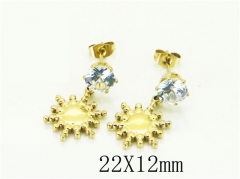 HY Wholesale Earrings 316L Stainless Steel Popular Jewelry Earrings-HY43E0663KA