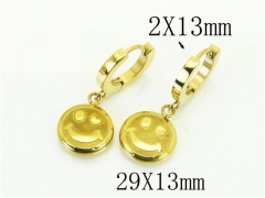 HY Wholesale Earrings 316L Stainless Steel Popular Jewelry Earrings-HY43E0555MV