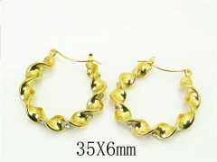 HY Wholesale Earrings 316L Stainless Steel Popular Jewelry Earrings-HY80E0817HSL
