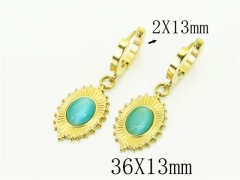 HY Wholesale Earrings 316L Stainless Steel Popular Jewelry Earrings-HY43E0536OX