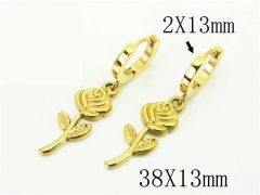 HY Wholesale Earrings 316L Stainless Steel Popular Jewelry Earrings-HY43E0568MS