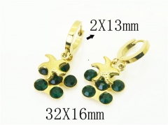 HY Wholesale Earrings 316L Stainless Steel Popular Jewelry Earrings-HY43E0598ME