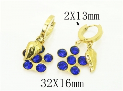 HY Wholesale Earrings 316L Stainless Steel Popular Jewelry Earrings-HY43E0590ME
