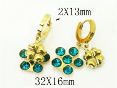 HY Wholesale Earrings 316L Stainless Steel Popular Jewelry Earrings-HY43E0614MQ