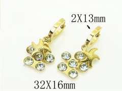 HY Wholesale Earrings 316L Stainless Steel Popular Jewelry Earrings-HY43E0596MF