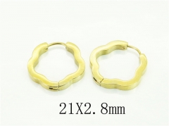 HY Wholesale Earrings 316L Stainless Steel Popular Jewelry Earrings-HY75E0115KV