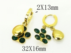 HY Wholesale Earrings 316L Stainless Steel Popular Jewelry Earrings-HY43E0618MS