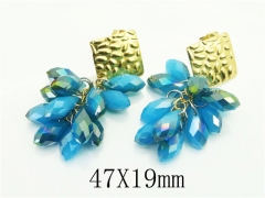 HY Wholesale Earrings 316L Stainless Steel Popular Jewelry Earrings-HY92E0155HVV