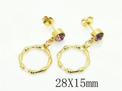 HY Wholesale Earrings 316L Stainless Steel Popular Jewelry Earrings-HY60E1601JV
