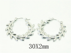 HY Wholesale Earrings 316L Stainless Steel Popular Jewelry Earrings-HY70E1379KT