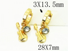 HY Wholesale Earrings 316L Stainless Steel Popular Jewelry Earrings-HY60E1555GJO