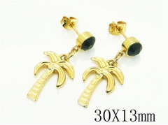 HY Wholesale Earrings 316L Stainless Steel Popular Jewelry Earrings-HY60E1602JB
