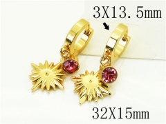 HY Wholesale Earrings 316L Stainless Steel Popular Jewelry Earrings-HY60E1547WJO