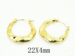 HY Wholesale Earrings 316L Stainless Steel Popular Jewelry Earrings-HY70E1384LT