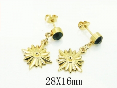 HY Wholesale Earrings 316L Stainless Steel Popular Jewelry Earrings-HY60E1658JR