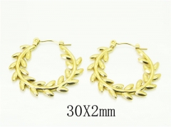 HY Wholesale Earrings 316L Stainless Steel Popular Jewelry Earrings-HY70E1380LR