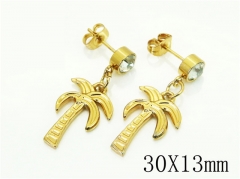 HY Wholesale Earrings 316L Stainless Steel Popular Jewelry Earrings-HY60E1603JQ