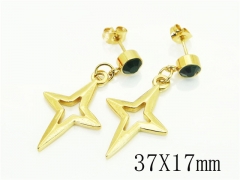 HY Wholesale Earrings 316L Stainless Steel Popular Jewelry Earrings-HY60E1612JD