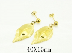 HY Wholesale Earrings 316L Stainless Steel Popular Jewelry Earrings-HY06E0410NT